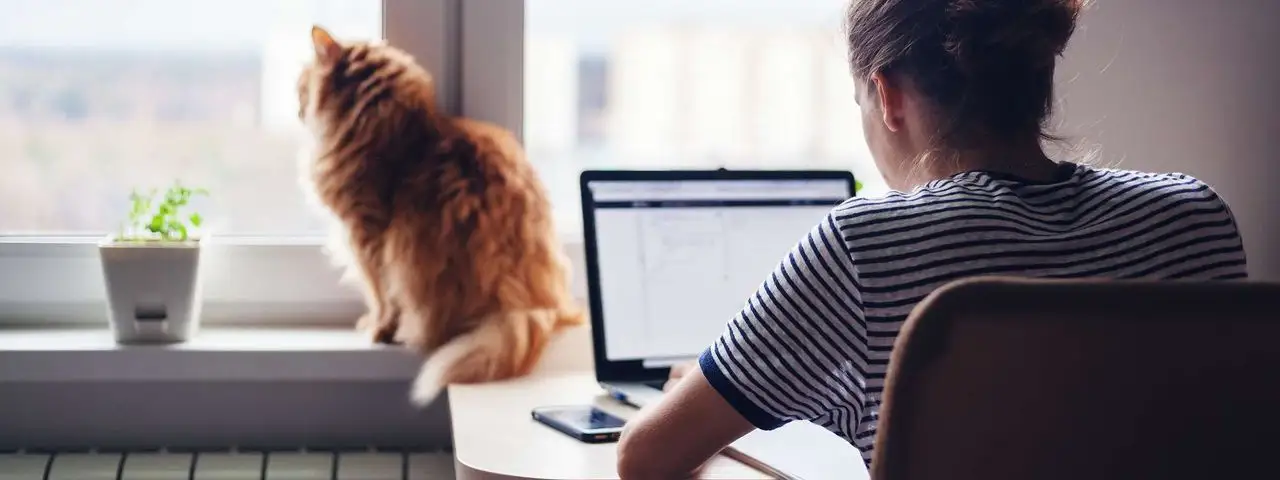 Praca zdalna – efektywna organizacja pracy poza siedzibą firmy