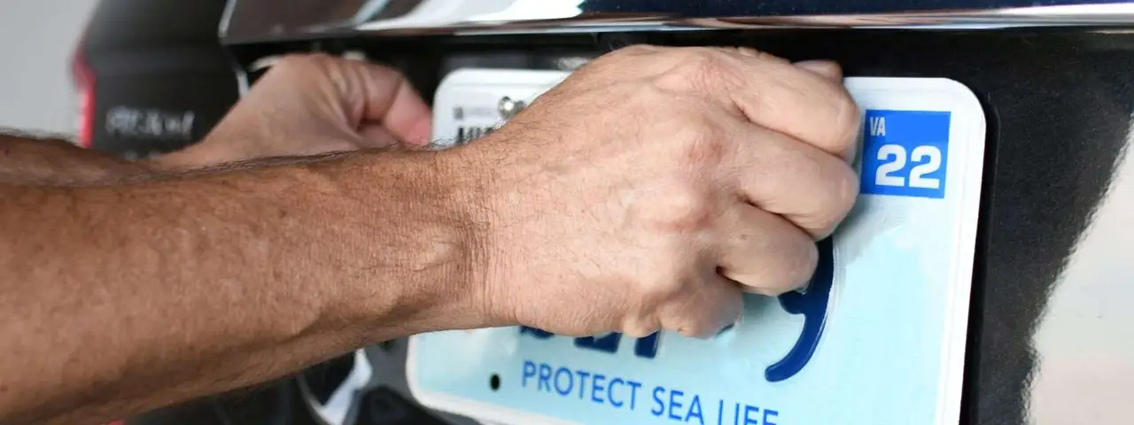 Indywidualne tablice rejestracyjne w przedsiębiorstwie – najważniejsze informacje