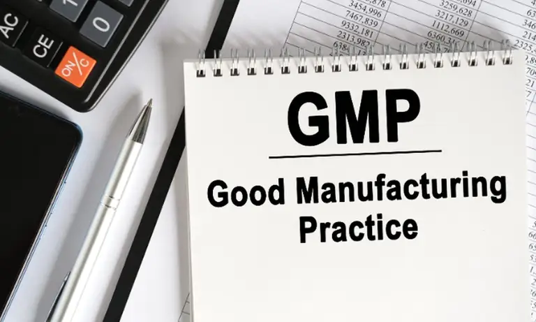 GMP co to