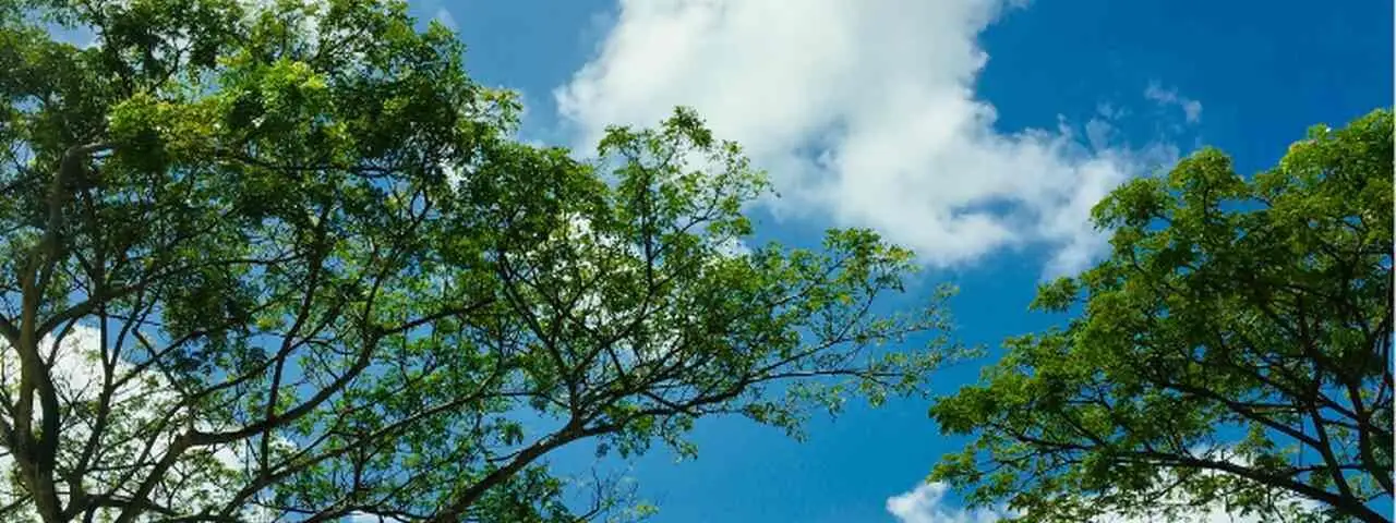 Program Czyste Powietrze 2025