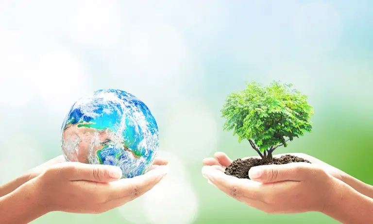 Program Czyste Powietrze