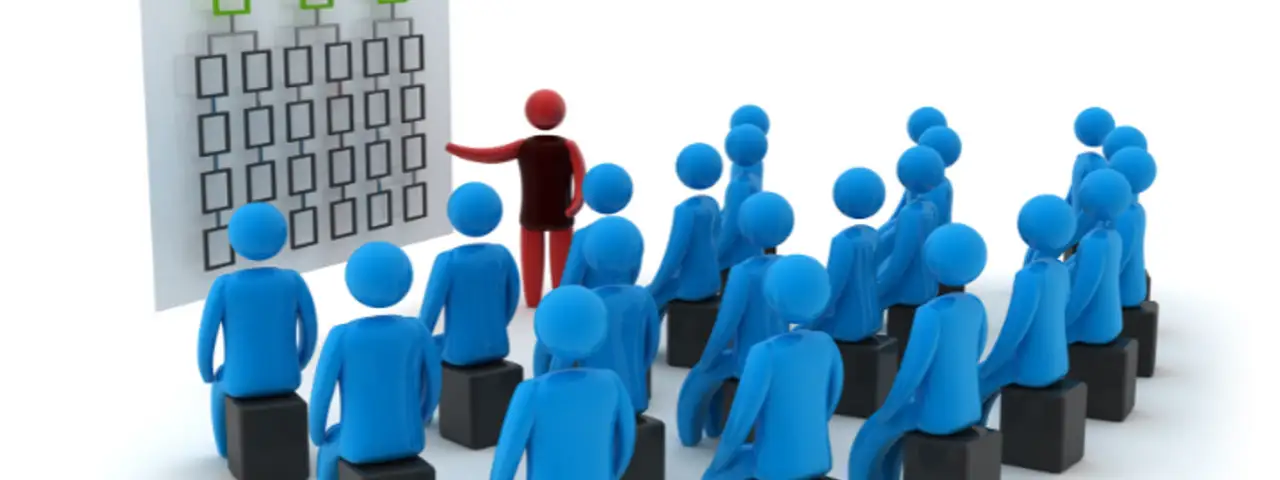 turkusowa organizacja