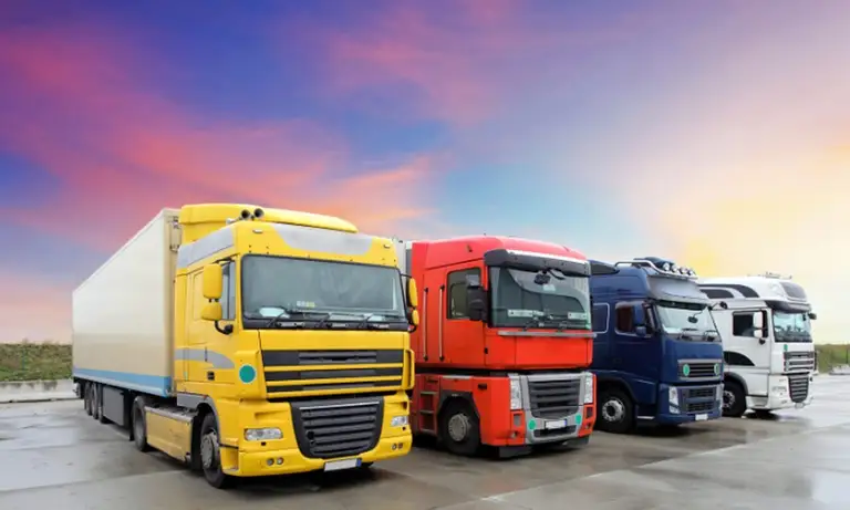 jak uzyskać licencję transportową