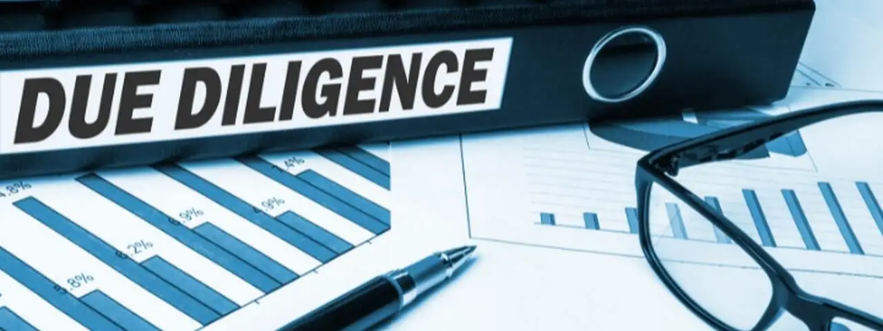Due Diligence